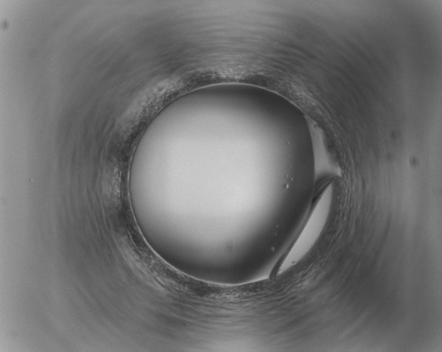 X0000055520639200509022125