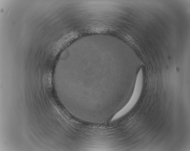 X0000055520640200509022125