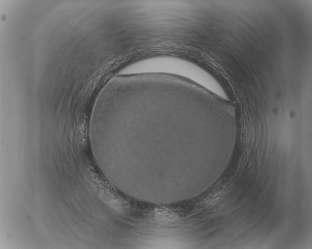 X0000055520641200509022125