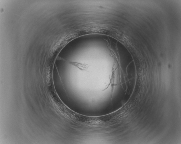 X0000055520642200509022125