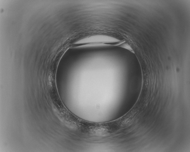 X0000055520643200509022125