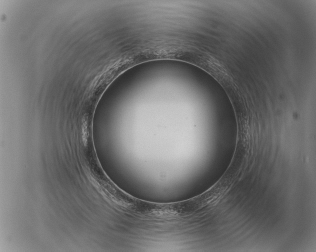 X0000055520644200509022125