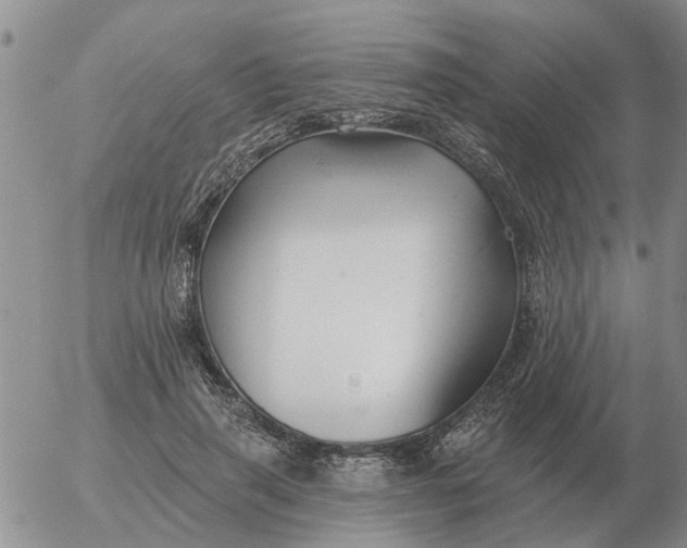 X0000055520645200509022125