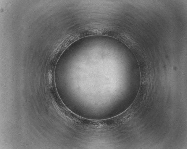 X0000055520646200509022125