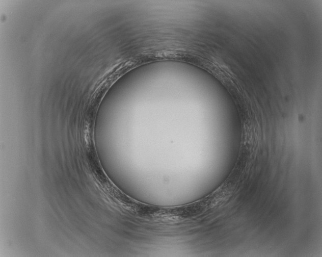 X0000055520648200509022125