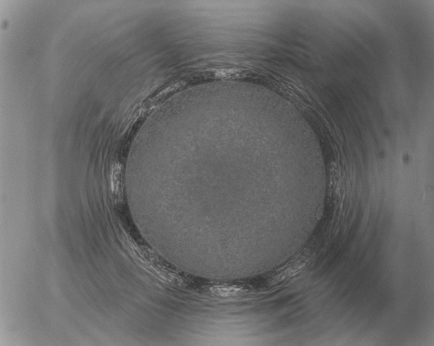 X0000055520650200509022125