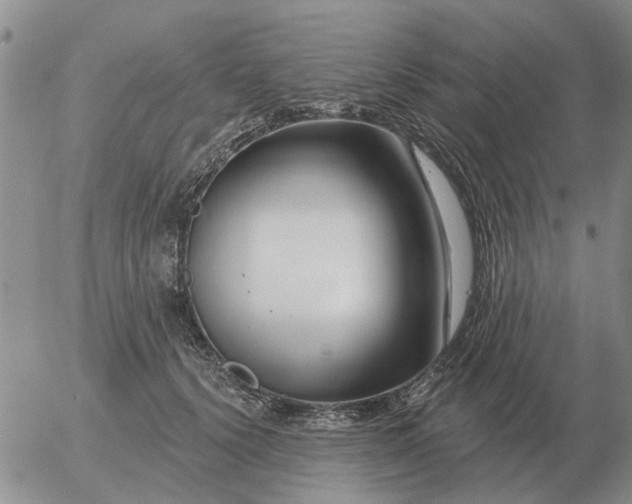 X0000055520656200509022125