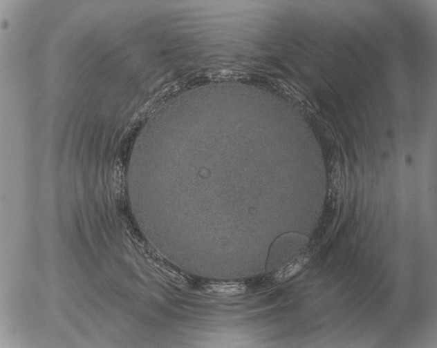 X0000055520659200509022125