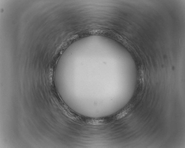 X0000055520664200509022125