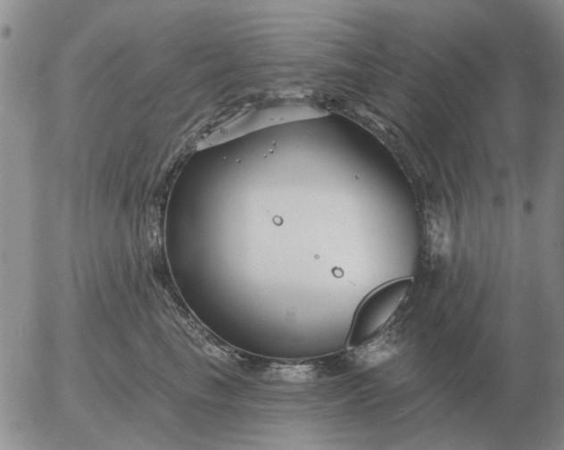 X0000055520665200509022125