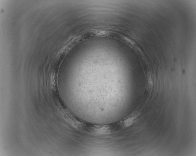 X0000055520667200509022125