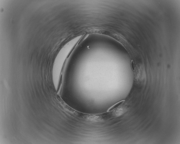 X0000055520669200509022125