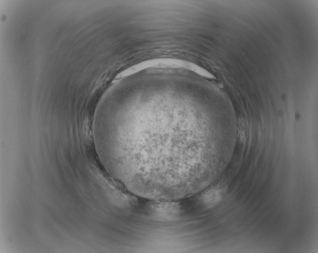 X0000055520670200509022125