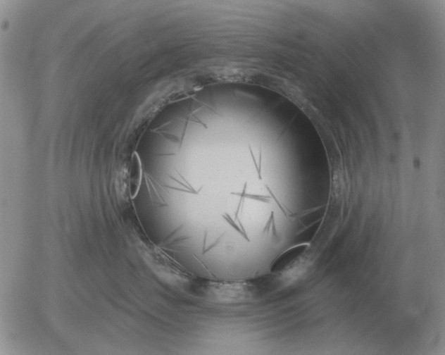 X0000055520671200509022125