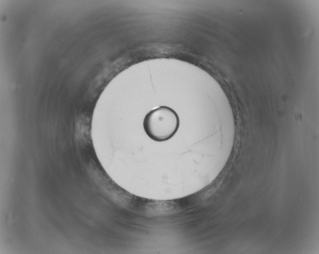 X0000055520672200509022125