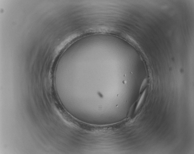 X0000055520674200509022124