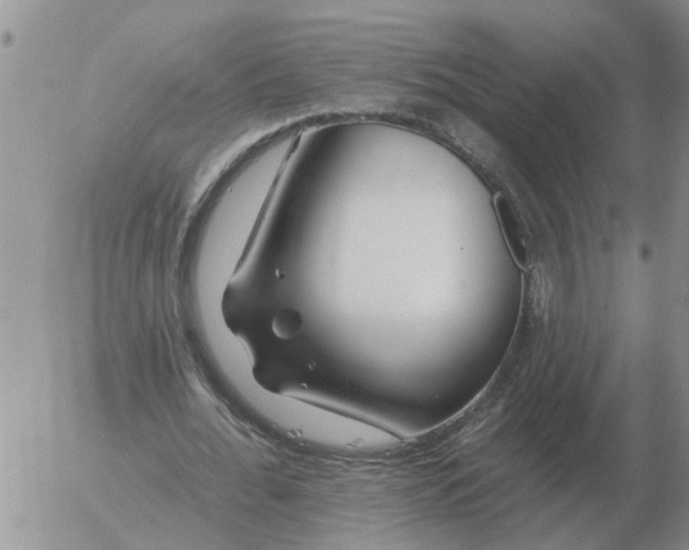 X0000055520676200509022124