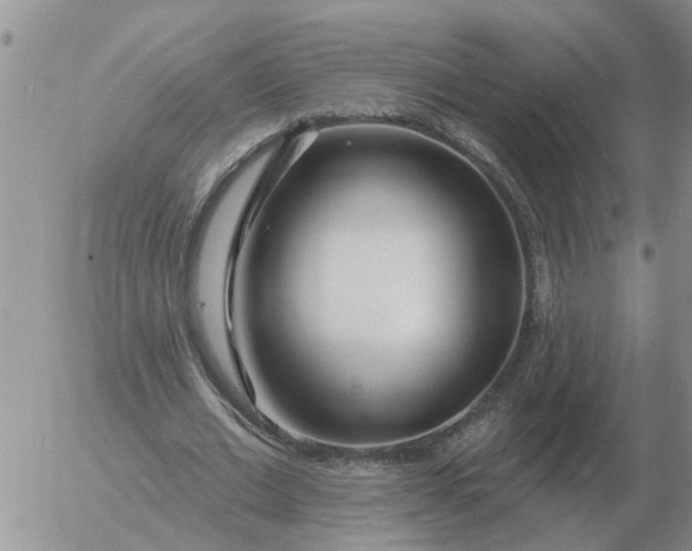 X0000055520677200509022124