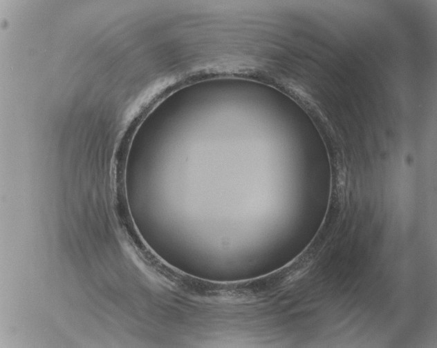 X0000055520678200509022124