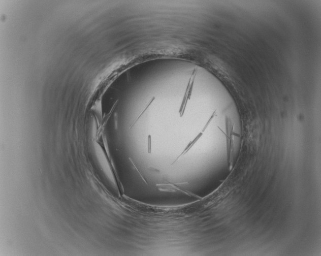 X0000055520679200509022124