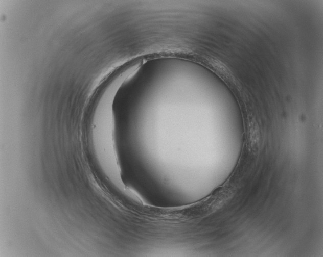 X0000055520680200509022124