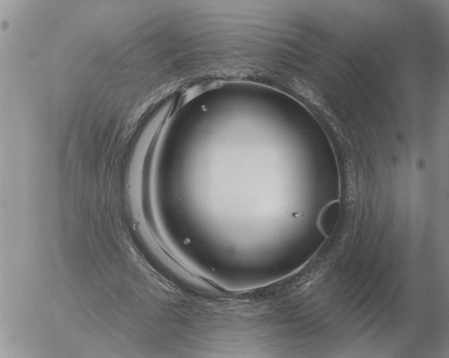 X0000055520681200509022124