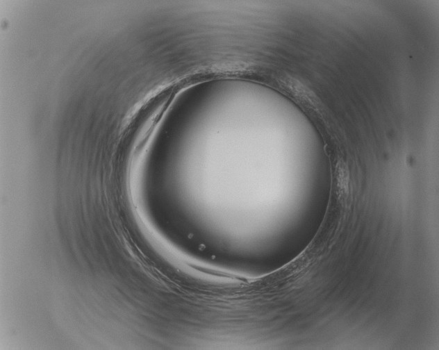 X0000055520684200509022124