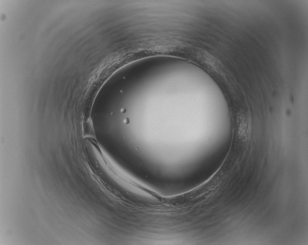 X0000055520685200509022124