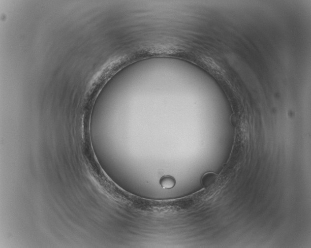 X0000055520686200509022124