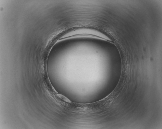 X0000055520688200509022124