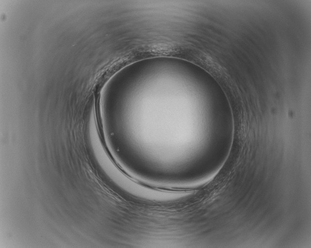 X0000055520689200509022124