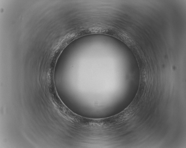 X0000055520690200509022124