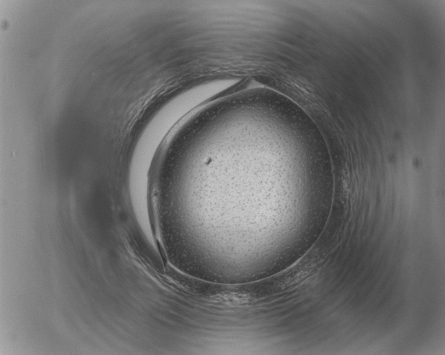 X0000055520691200509022124