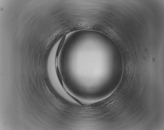 X0000055520693200509022124