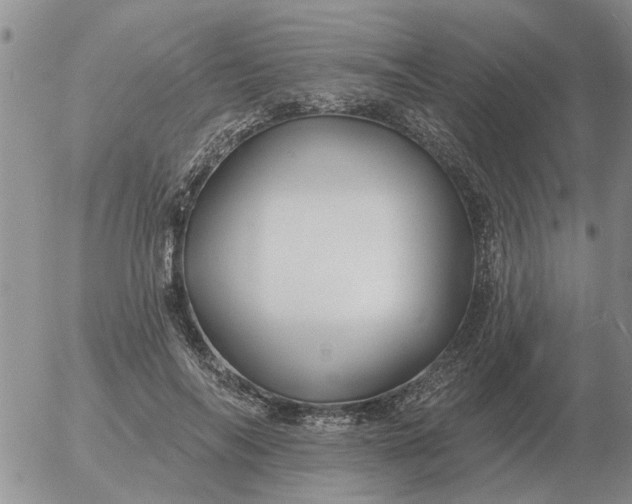 X0000055520694200509022124