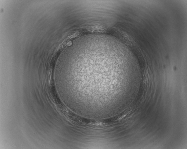 X0000055520695200509022124