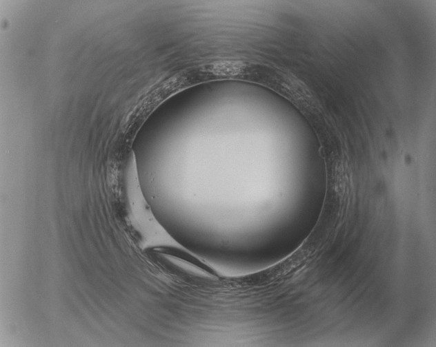 X0000055520697200509022124