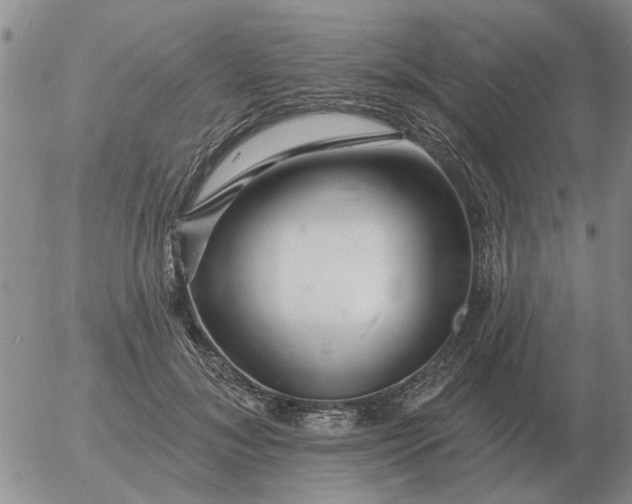 X0000055520700200509022124