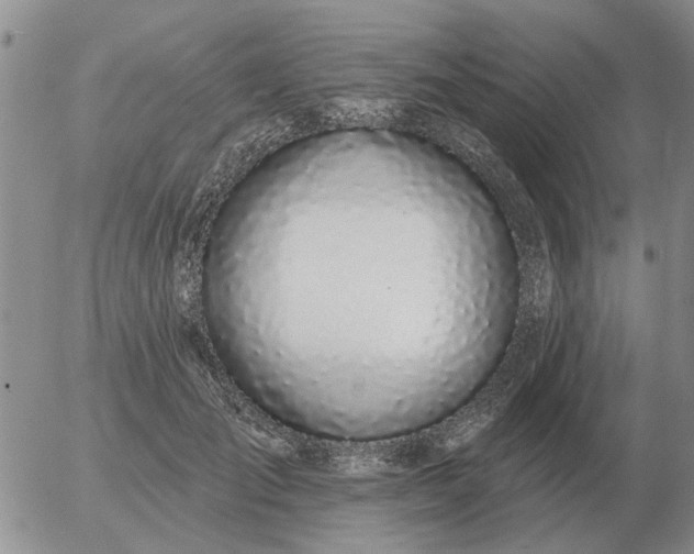 X0000055520701200509022124