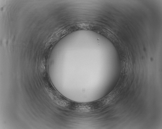 X0000055520702200509022124