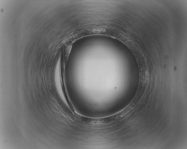 X0000055520704200509022124