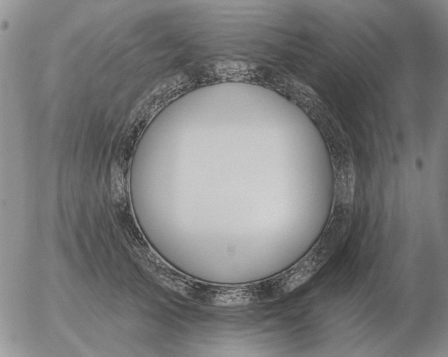 X0000055520705200509022124