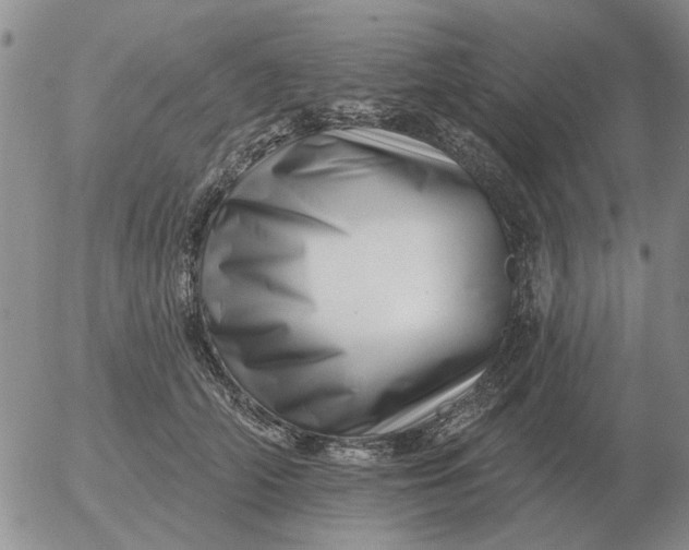 X0000055520706200509022124