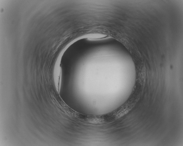 X0000055520708200509022124