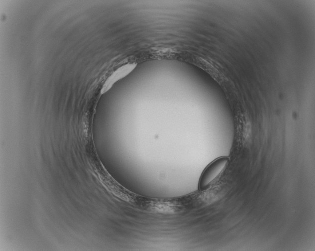 X0000055520710200509022124