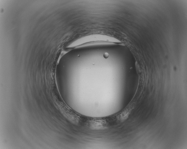 X0000055520711200509022124