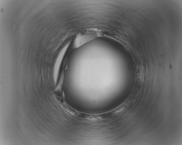 X0000055520712200509022124