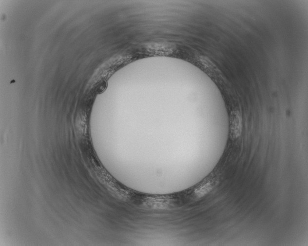 X0000055520713200509022124