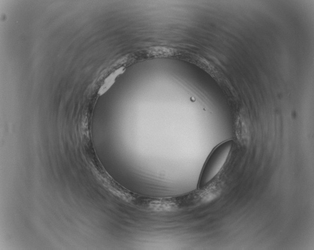 X0000055520714200509022124