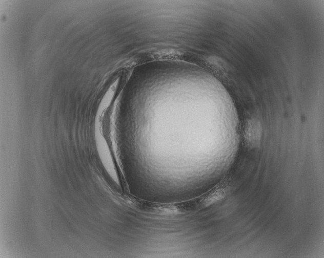 X0000055520715200509022124